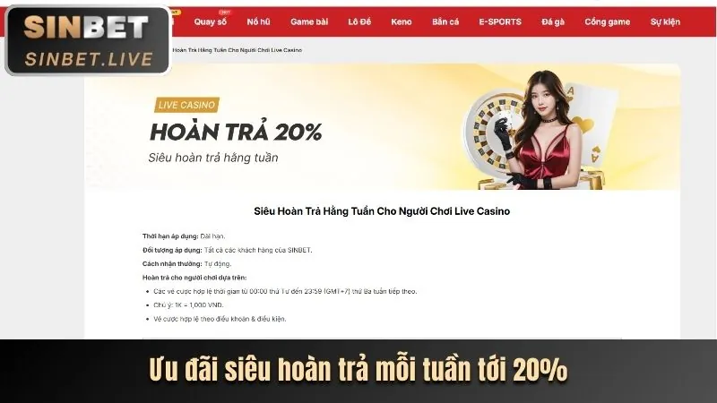 Hoàn trả hàng ngày pp55 nhà cái